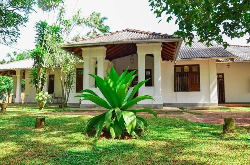 Villa Helvetia 高尔 外观 照片